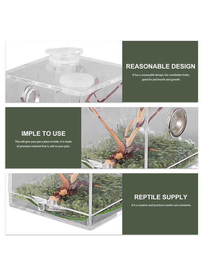 يُسلِّم حوض عناكب، صندوق تربية الزواحف، قفص عناكب قافزة، قفص صراصير، موطن عناكب الرتيلاء الشجرية (الحجم: متوسط) - Image 4